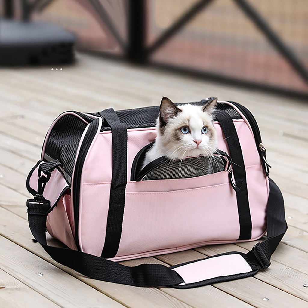 Cat Carrying Luggage – Pampered Fur Baby