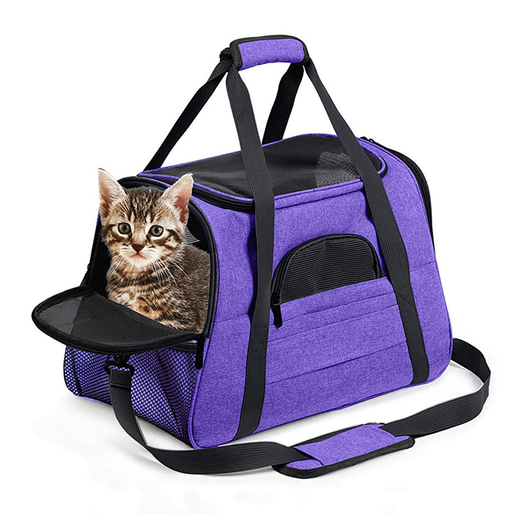 Cat Carrying Luggage – Pampered Fur Baby